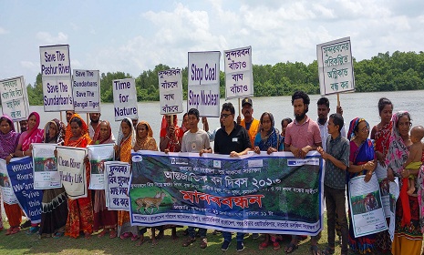 প্রভাবশালীদের অবৈধ ব্যবসা-বাণিজ্য আর দূষণে বিপর্যস্ত সুন্দরবন