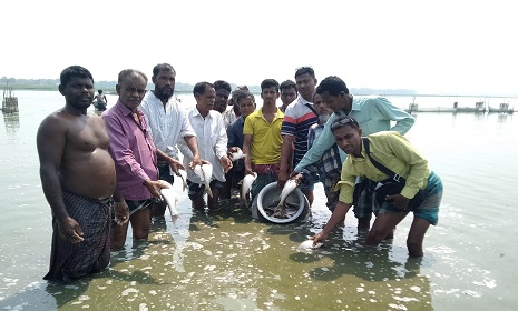 বোয়ালমারীতে বিলচাপাদহের মৎস্য চাষ প্রকল্পের উদ্বোধন
