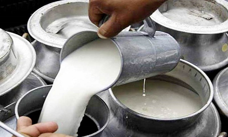 ধামরাইয়ে রমজানের শুরুতেই এক কেজি দুধ ১৪০ টাকা