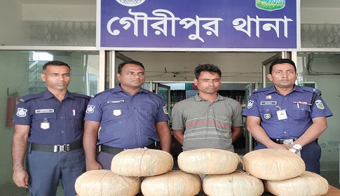 গৌরীপুরে ২১ কেজি গাঁজাসহ মাদক ব্যবসায়ী গ্রেফতার