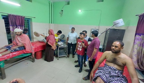 ঝিনাইদহে আপন দুই ভাইকে কুপিয়ে ও পিটিয়ে জখম
