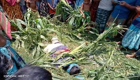 মাদারগঞ্জে ভুট্টাখেত থেকে অজ্ঞাত নারীর মরদেহ উদ্ধার