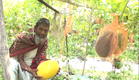 দিনাজপুরে গ্রীষ্মকালীন তরমুজ চাষে লাভবান কৃষক আইনুল