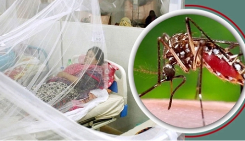 ডেঙ্গু রূপ নিচ্ছে মহামারির: আতঙ্ক নয় চাই জনসচেতনতা 