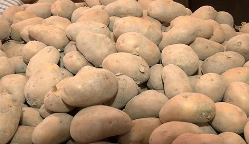 বরিশালের আড়তগুলো আলু শূন্য