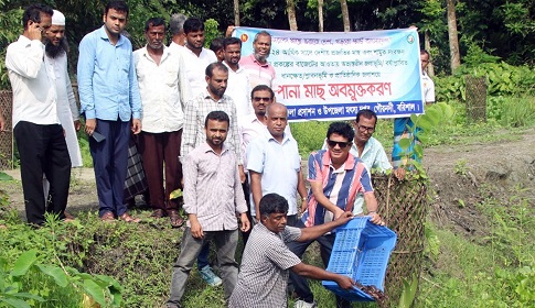 দেশীয় প্রজাতীর মাছের পোনা অবমুক্ত