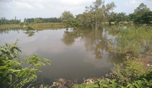 দিনাজপুরে পানিতে ডুবে শিক্ষার্থীর মৃত্যু