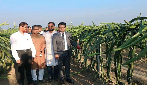 মহম্মদপুরে ফলের বাগান পরিদর্শন করলেন জেলা প্রশাসক