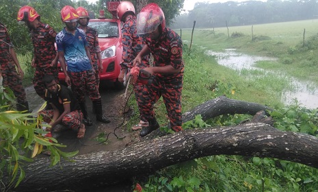 নোয়াখালীতে ঘরবাড়ি ও ফসলের ব্যাপক ক্ষয়ক্ষতি