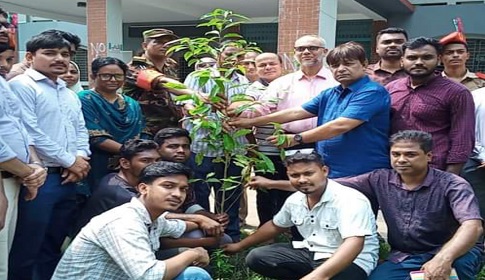 লোহাগড়ায় সরকারি কলেজে বৃক্ষরোপন কর্মসূচির উদ্বোধন