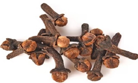 লবঙ্গ খাওয়ার উপকারিতা ও অপকারিতা