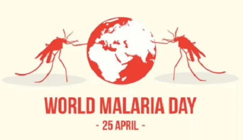 ম্যালেরিয়া রোগ নিয়ে আতঙ্ক নয় প্রয়োজন সচেতনতা 