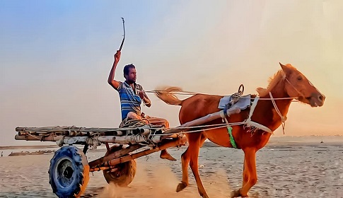 যান্ত্রিক যুগে চরাঞ্চলে একমাত্র ভরসা ঘোড়ার গাড়ি