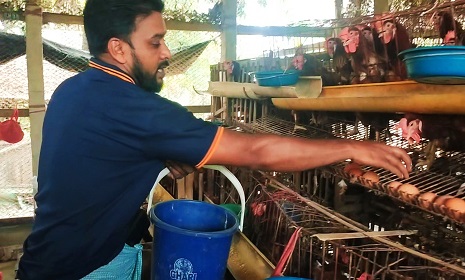 লেয়ার জাতের মুরগীর খামার করে সফল উদ্যোক্তা মো: আব্দুর রহিম