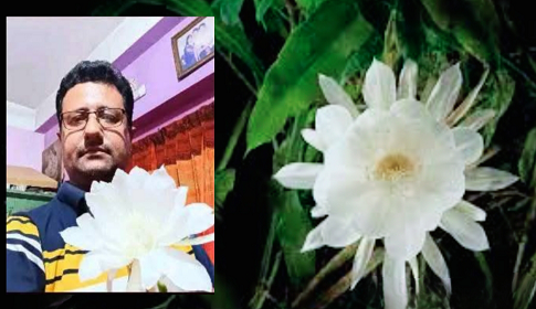 অধ্যাপকের ছাদ বাগানে রাতের অতিথি ‘নাইট কুইন’
