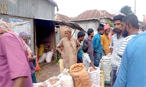 সালথায় কমেছে পেঁয়াজের দাম, লোকসান চাষিদের