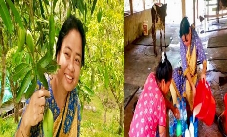 বিষ মুক্ত মিশ্র ফসল চাষ ও খামার করে সফল লাকি তনচংগ্যা
