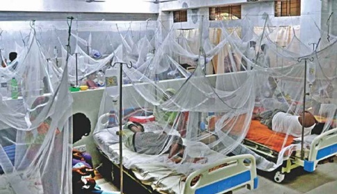 ডেঙ্গুতে একজনের মৃত্যু, আক্রান্ত ৩৮৬
