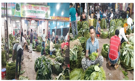 সন্ধ্যায় জমে ওঠে কোটি টাকার পানের হাট