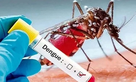 আরও ২৯৪ জনের ডেঙ্গু শনাক্ত, ১২৬ জনই বরিশালের