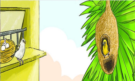 স্বাধীনতার সুখ
