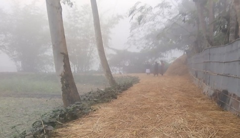 কুড়িগ্রামে শীতবস্ত্র বিতরণ বন্ধ হওয়ায় ছিন্নমূল মানুষের চরম দুর্ভোগ