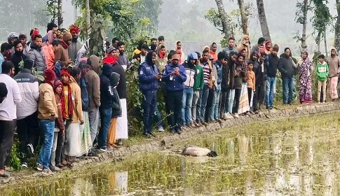 ঈশ্বরদীতে ধানক্ষেত থেকে যুবকের লাশ উদ্ধার
