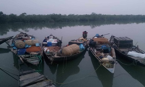 কাঁকড়া আহরণে সুন্দরবনে দুই মাসের নিষেধাজ্ঞা জারি