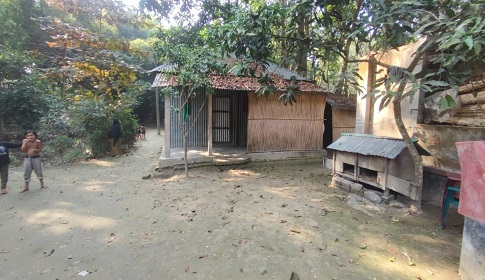 বাবা-মাকে জ্যান্ত কবরের চেষ্টা, দুই ছেলে গ্রেপ্তার 