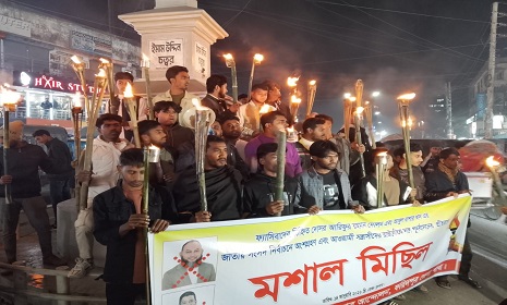 ফরিদপুরে বৈষম্যবিরোধী ছাত্র আন্দোলনের উদ্যোগে মশাল মিছিল