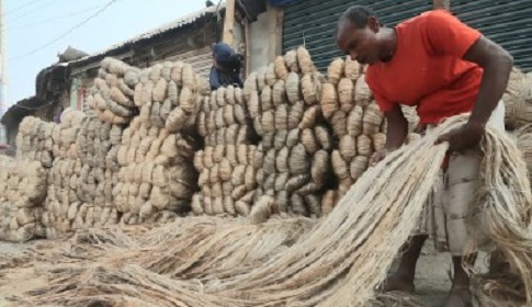 পরিবেশবান্ধব পাটশিল্পে বাংলাদেশের অর্থনীতির নতুন দিগন্ত