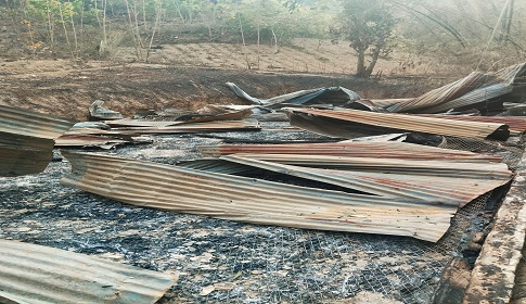 কাপ্তাইয়ে খামারে অগ্নিকাণ্ডে পুড়ল ২ হাজার মুরগির বাচ্চা, দিশেহারা খামারি