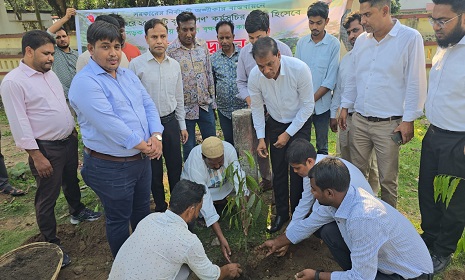দিনাজপুরে সড়ক বিভাগের উদ্যোগে বৃক্ষরোপন 
