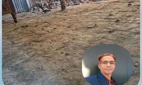 নোয়াখালীতে যুবদল নেতার বিরুদ্ধে সড়কের ইট আত্মসাতের অভিযোগ