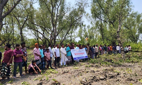 শ্যামনগরে নদীর চরের গাছ রক্ষায় আন্দোলন, বন্ধ হলো নিধন