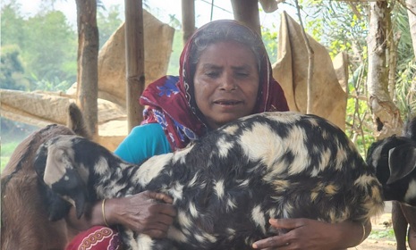 জিন্না বেগমের ছাগল পালনের সংগ্রামী গল্প 