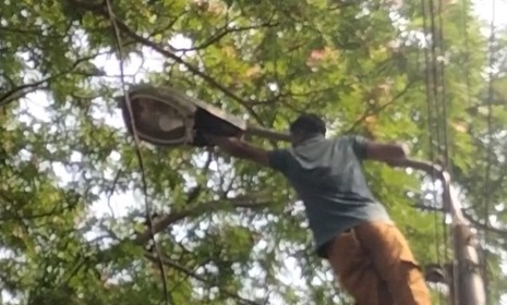 অসহায় পাখির পাশে দাঁড়িয়ে মানবতার উদাহরণ গড়লেন সুমন শেখ   