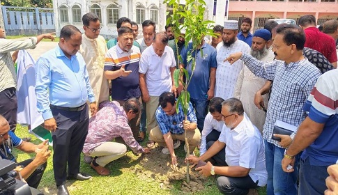 সাতক্ষীরায় জেলা পরিষদের উদ্যোগে বৃক্ষরোপণ কর্মসূচির উদ্বোধন 