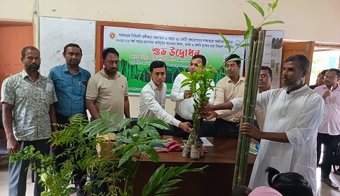 সুবর্ণচরে ফলজ, বনজ, ঔষধি গাছ বিতরণ 