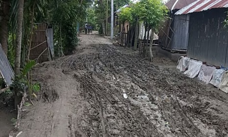 নড়াইলের ৬০ ভাগই কাঁচা রাস্তা, জনদুর্ভোগ চরমে 