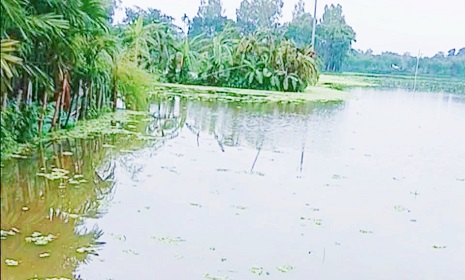 জলাবদ্ধতায় সহস্র একর জমি, বিপাকে কৃষকেরা, চায় কালভার্ট