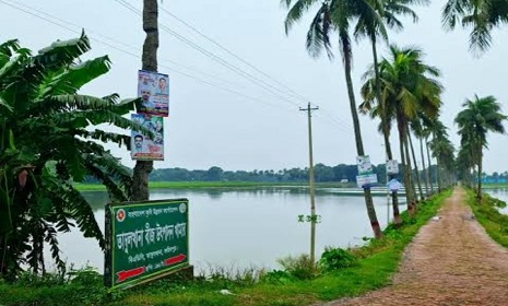 তাম্বুলখানা কৃষি ফার্মের সরকারি অধিগ্রহণকৃত দুই একরেরও বেশি জমি দুর্বৃত্তদের দখলে
