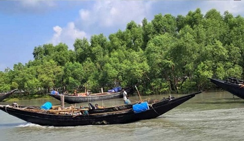 সুন্দরবনে প্রবেশের বিএলসি নবায়নে স্টেশন কর্মকর্তাদের দালাল মারফৎ অতিরিক্তি টাকা আদায়ের অভিযোগ