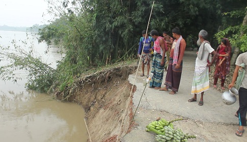 গড়াই নদীর পানি বৃদ্ধির সাথে তীব্র ভাঙন: বিলীন ফসলি জমি, হুমকিতে ঘরবাড়ি ও শিক্ষা প্রতিষ্ঠান