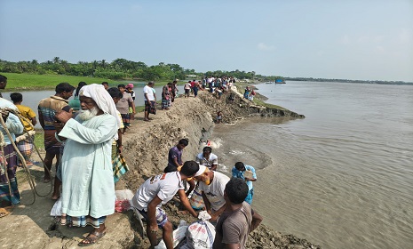 আশাশুনিতে বেড়িবাঁধে ভয়াবহ ভাঙন, ভাঙন রোধে কাজ করছেন স্থানীয়রা