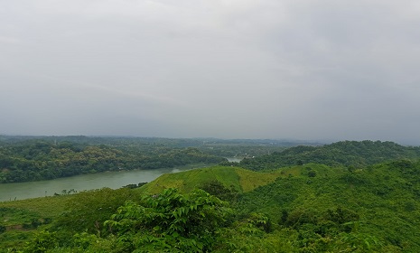 দুমদুমিয়া নারীদের মানব ঢাল বানিয়ে বিজিবির হেফাজত থেকে ভারতীয় চোরাকারবারী ছিনতাই!
