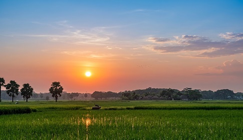 মহম্মদপুর ঘোপ বাওড়ে মুগ্ধতার সূর্যাস্ত, গোধূলির রঙে অপূর্ব প্রকৃতি