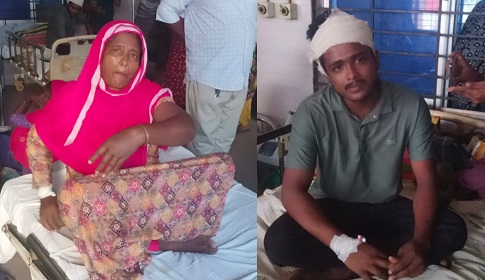 জমি নিয়ে বিরোধের জেরে কাশিয়ানীতে হামলার অভিযোগ, আহত মা-ছেলে