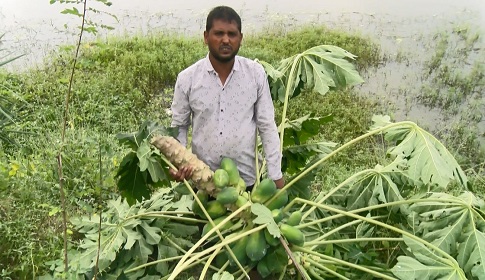 সাতক্ষীরায় জামায়াত নেতার নেতৃত্বে ঘের লুটপাট, ১০ লাখ টাকার ক্ষতি