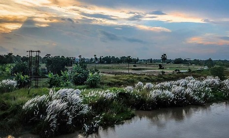 শরতের কবিতা